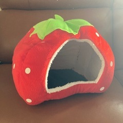 いちごのペットハウス（小）