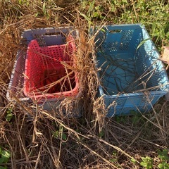 コンテナBOX