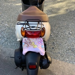 スズキバスケットの画像