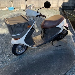 スズキバスケットの画像