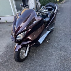マジェスティ！