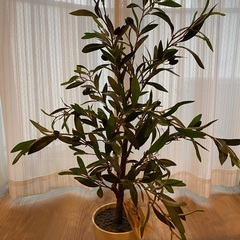 人工観葉植物　オリーブ