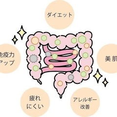 オーガニックコンサルタントが選ぶ腸活