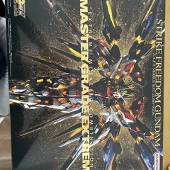ガンプラMGEX 1/100 ストライクフリーダムガンダム　