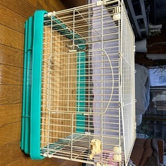 うさぎ小屋