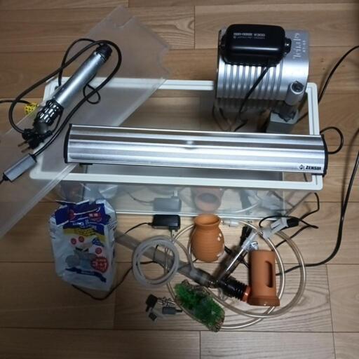 水槽セット一式（即、飼育可能）
