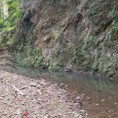 ★★ 川に面した広大な27469坪の山物件 ★★