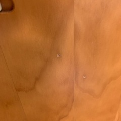 【値下げ】DWE 整理だな　2014年購入の画像