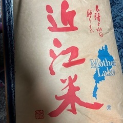 ｛現在取引中｝
今シーズン最後鈴鹿山脈の美味しい水で育った【コシ...