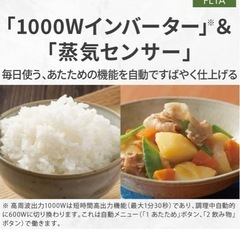 パナソニック 電子レンジ22L 2023年製 美品
の画像