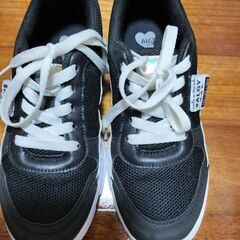 ALGY23.0の画像