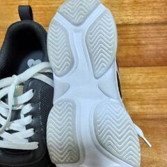ALGY23.0の画像