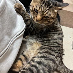 元気いっぱい！