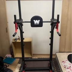 バーウィング　懸垂マシン