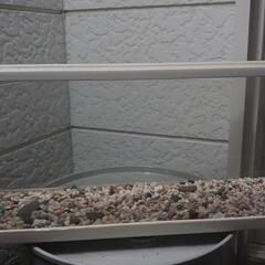 決まりました。水槽