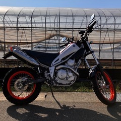 ご成約 YAMAHA ヤマハ トリッカー 250の画像