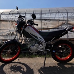 ご成約 YAMAHA ヤマハ トリッカー 250