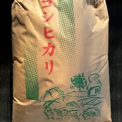 令和６年度収穫コシヒカリパート2