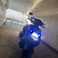 シグナスの画像