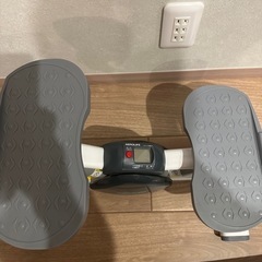 AEROLIFE エアロライフ サイドステッパー の画像