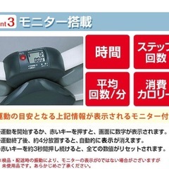 AEROLIFE エアロライフ サイドステッパー の画像