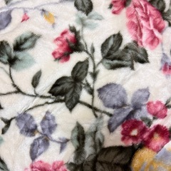 京都西川の毛布の画像