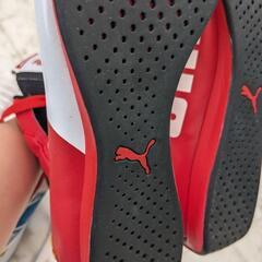 プーマ フェラーリ ドライビングシューズの画像