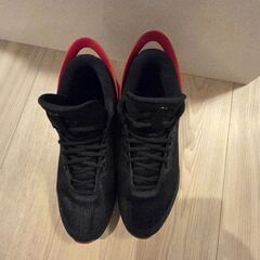 ナイキ NIKE ジョーダン フライ ロックダウンの画像
