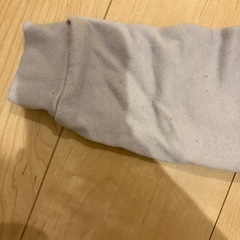 【お引き渡し予定】パウパトロール　ロッキー　なりきり　パーカーの画像