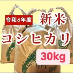 鳥取県産コシヒカリ　令和6年産　新米30kg(玄米)  