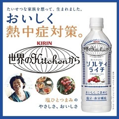 決定◎ソルティライチ　5本　