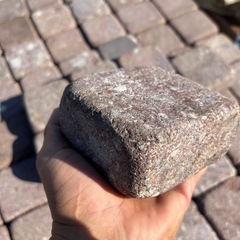 レアピンコロレッド！の画像