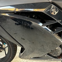 ninja EX250Lの画像