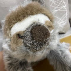 ナマケモノぬいぐるみ⚠️最終価格の画像