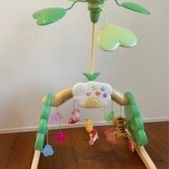 プーメリーの中古が安い！激安で譲ります・無料であげます(9