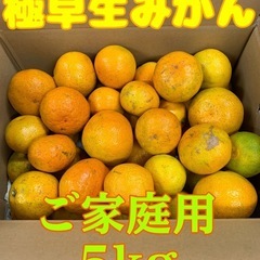 ☆和歌山みかん☆極早生•サイズ混合☆5kg⑧