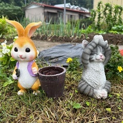 干物とエクサイズ💪
