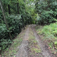 「会員制」ソロキャンプ場（野営地）のメンバー募集。（山火事防止の...