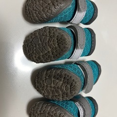 ドッグブーツの画像