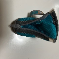 ドッグブーツの画像