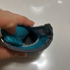 ドッグブーツの画像