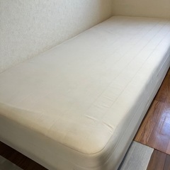 商談成立　シングルベット　細目