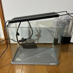 30cm水槽セットの画像
