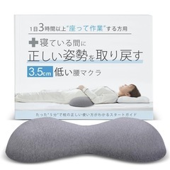 【大人のカラダ改善計画】　腰枕の画像
