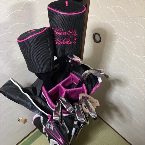 【11/4まで限定価格】WORLD EAGLEクラブ&Callaway&シューズボールセット