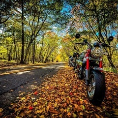 バイクツーリング仲間募集します☆