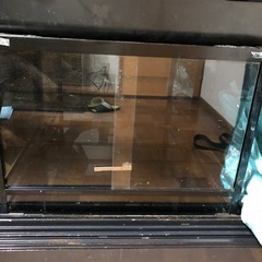 爬虫類　ケージ　ペット用品
