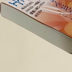 【絶版本】エネルギー・メディスン （ドナイーデン著）の画像