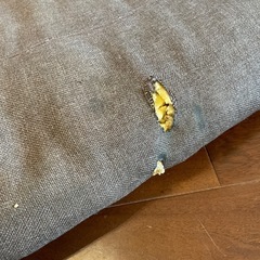 2人用リクライニングソファの画像