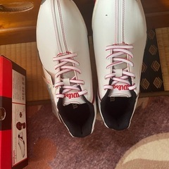 ゴルフシューズ　ウィルソンの画像